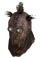 Raider Wastehound Helmet.png