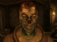 FO3UnderworldResident6.png (606 KB)