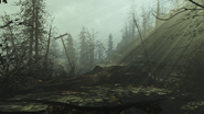 FO4 FH road