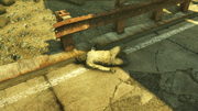 FO76 Escaped Inmate.png
