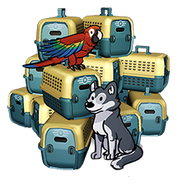 15 purchasable pet carriers icon