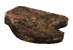 GrilledNukalurk-NukaWorld