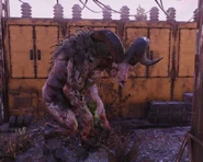 Sheepsquatch.jpg (32 KB) A hunched Sheepsquatch