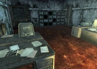 菲利普·格兰杰大使的最终报告