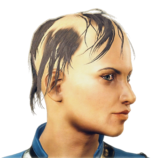 Video Games Art & Entertainment — Fallout 4 Extra Hairstyles When creating  a...