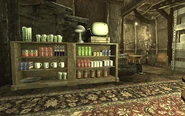 Дом в Мегатонне, книжный шкаф