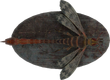 FO4-Mounted-Stingwing.png