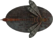 Чучело жалокрыла