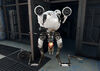 FO4 Curie