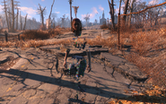 FO4 bug with char textures