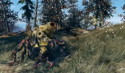 FO76 Honey beast