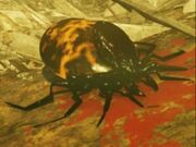 FO76 Vile Tick