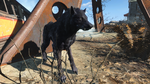 Fo4FH vicious wolf