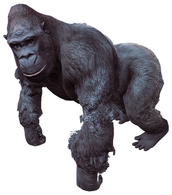 Gorilla