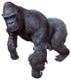 Gorilla.png