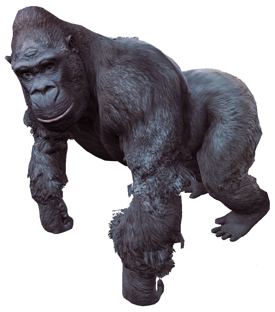 Gorilla - Wikipedia