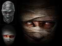 PLT Fallout 2.jpg (467 kB) Arte conceitual para a capa do Honest Hearts