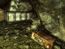 Sunflower Summers skeleton.jpg (316 KB) Sunflower Summers' skeleton