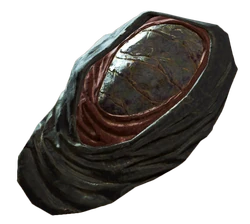 FO4 NW DisciplesHeadCovering