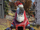 FO76 Santatron.png