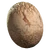 Fallout4 Mirelurk egg