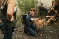 Deer BTS