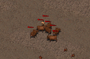 Mad Brahmins.png