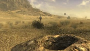 FNV Oliver Swanick near Scorpion burrow.png (4,55 МБ) Скорпионья нора, в которой Оливер Суэник скрывается… от скорпионов