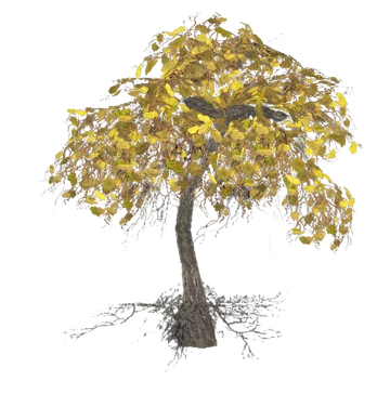 Mutfruit plant (Fallout 4) | Fallout Wiki | Fandom