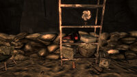 Unarmed frag mines, raider outpost