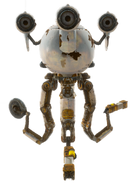 nw