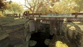 FO76 BBSmallSwampForestPOI60Marker (10)