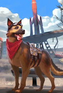 Dogmeat's hero card in Fallout Shelter Online