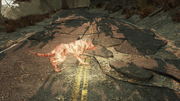 Scorched Wolf.png