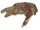 Supermutantrighthand.png