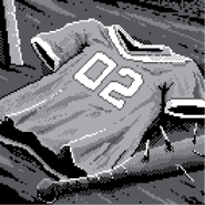 WL Reward Jersey.png (37 KB)