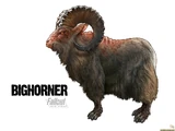 Bighorner