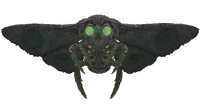 Glowing mothman