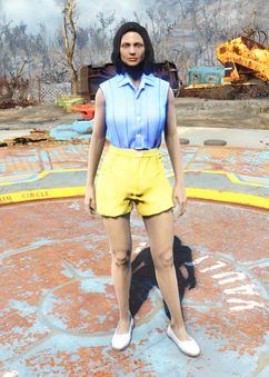 Fo4Summer Shorts