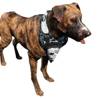 Dog Fallout 4 Fallout Wiki Fandom