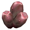 PricklyPearFruit2