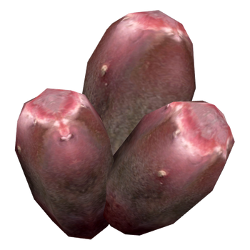 PricklyPearFruit2