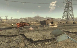 Cassidy Caravans Wreckage