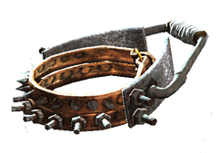 Reinforced dog collar