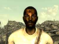 FO3Wasteland doctor11