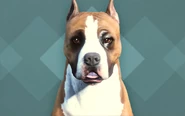 FO4 CC - Pitbull.png (238 kB) Pitbull