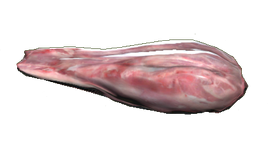 FO76 Brahmin meat