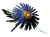 Asterácea