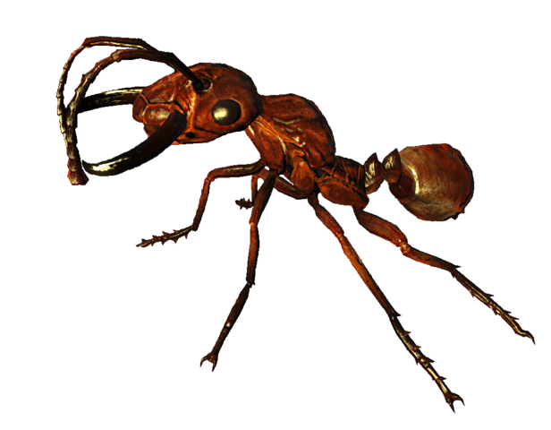 Giant ant, Fallout Wiki