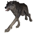 FO76 Grey Wolf.png